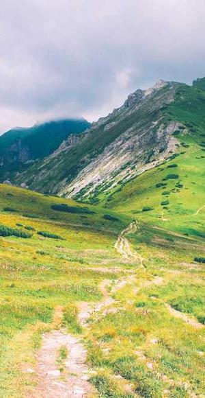 全民电影最新电影大全APP界面